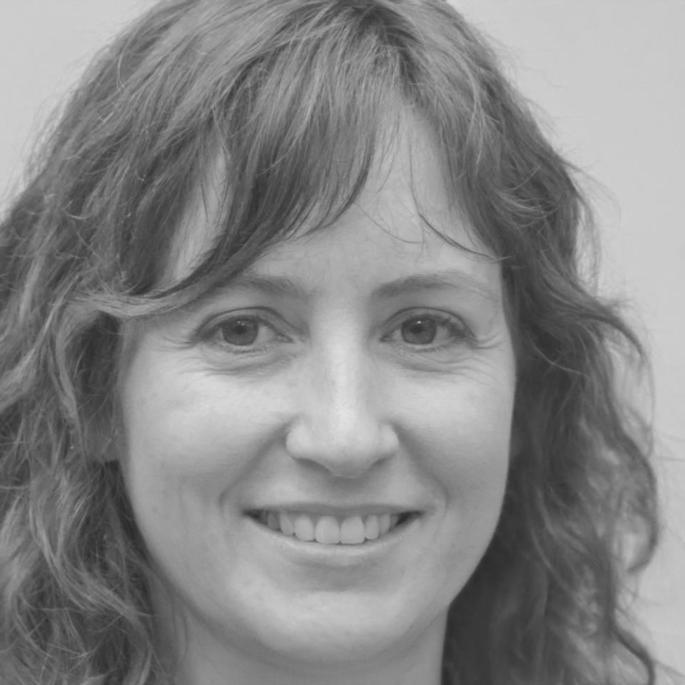 Helena Tavares, Diretora Executiva